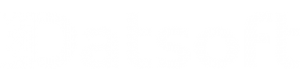 Logo web Datsoft white